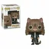 FUNKO Pop! Movies : Harry Potter - Hermione Granger As Cat 2 FUNKO Pop! Movies : Harry Potter - Hermione Granger As Cat