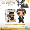 FUNKO POP! Movies: Harry Potter - Harry Potter (Yule)