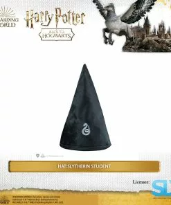 Famesbro Cinereplica: Student Hat: Slytherin