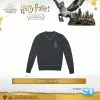 Famesbro Wizarding World Cinereplica: Sweater - Ravenclaw 2 Famesbro Wizarding World Cinereplica: Sweater - Ravenclaw
