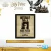 Wizarding World Pyramid International: Harry Potter (Potter Sirius) Framed 10X8 3D 2 Wizarding World Pyramid International: Harry Potter (Potter Sirius) Framed 10X8 3D
