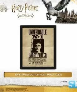 Wizarding World Pyramid International: Harry Potter (Potter Sirius) Framed 10X8 3D