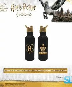 Pyramid International: Harry Potter (I'D Rather Be At Hogwarts) Metal Canteen Bottle Wizarding World