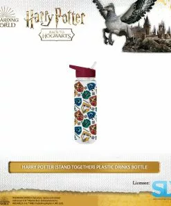 Wizarding World Pyramid International: Harry Potter (Stand Together) Plastic Drinks Bottle