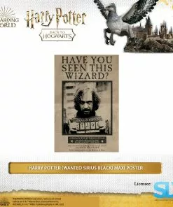Wizarding World Pyramid International: Harry Potter (Wanted Sirius Black) Maxi Poster