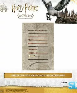 Pyramid International: Harry Potter (The Wand Chooses The Wizard) Maxi Poster