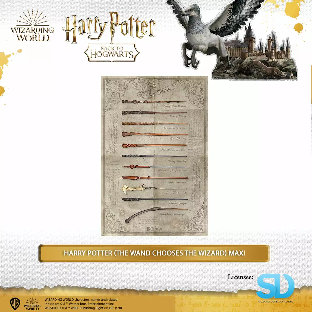 Pyramid International: Harry Potter (The Wand Chooses The Wizard) Maxi Poster 3 Pyramid International: Harry Potter (The Wand Chooses The Wizard) Maxi Poster